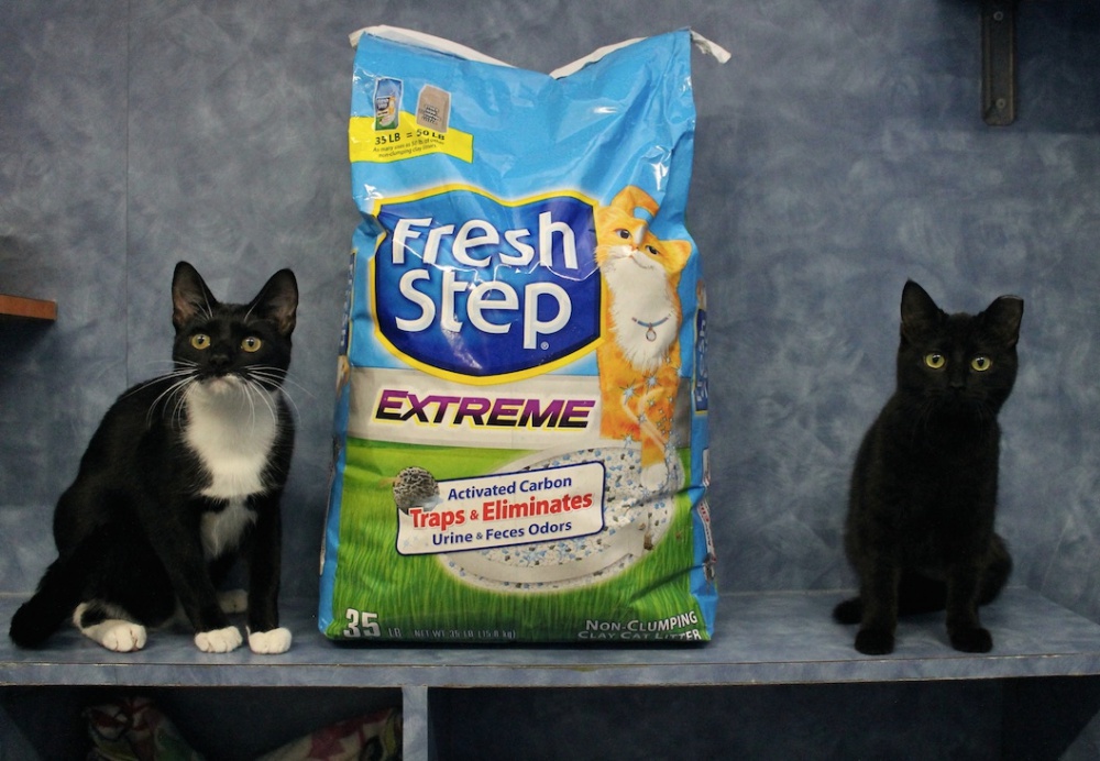 5 Million scoops of Fresh Step litter donated to shelters across the country Freekibble